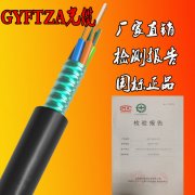 GYFTZS-16b1阻燃光缆